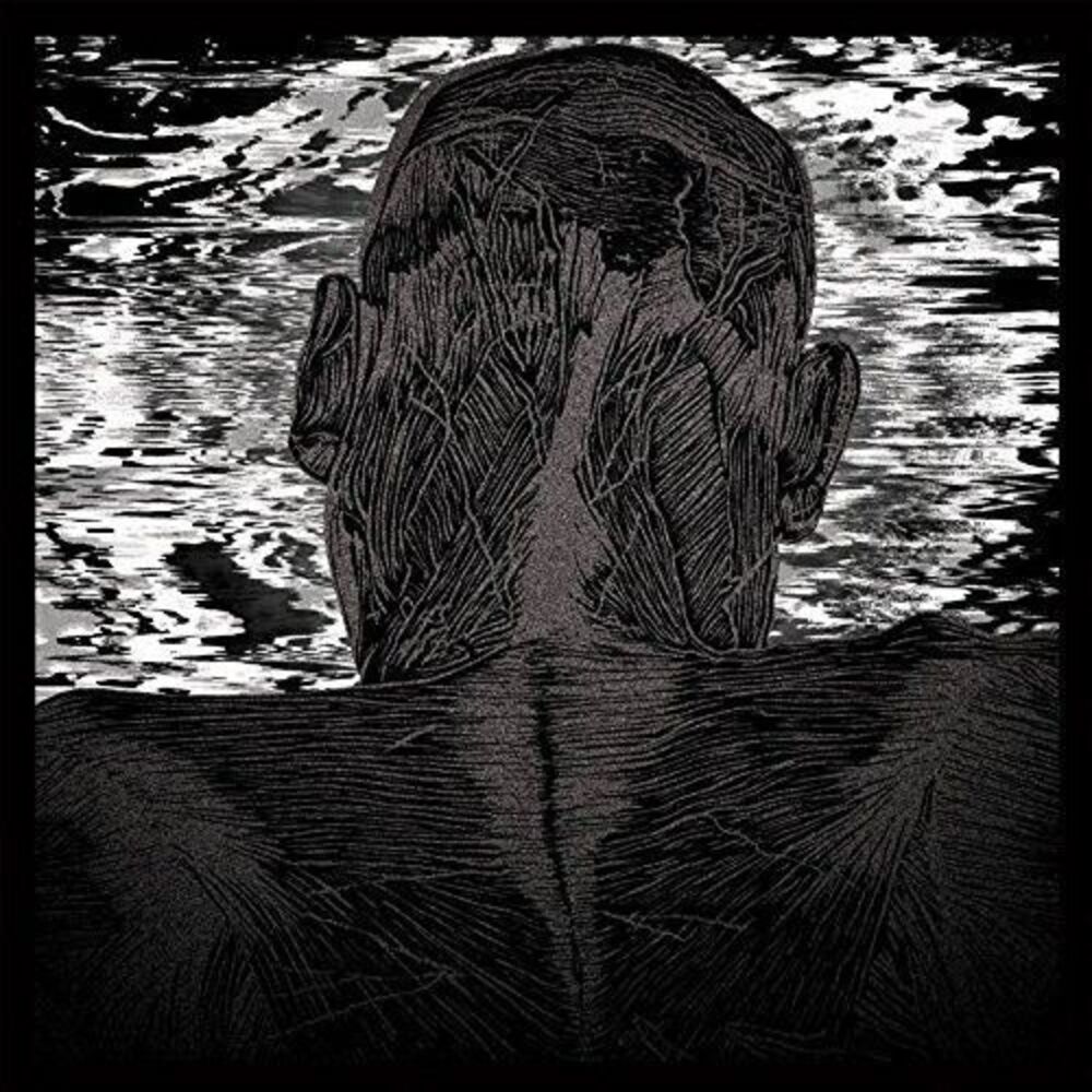 Asher Levitas - Lit Harness  LP LP